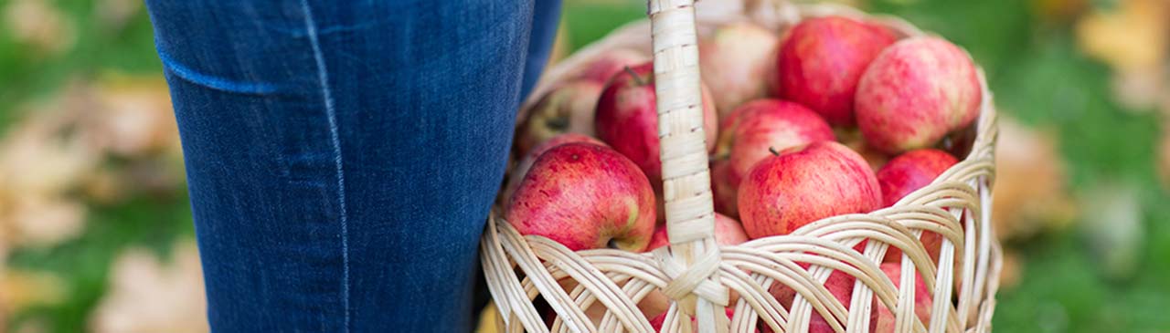 Genetically Modified Organisms