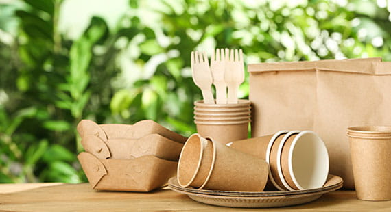 Biodegradable Packaging Certification  Biodegradable Packaging Certification