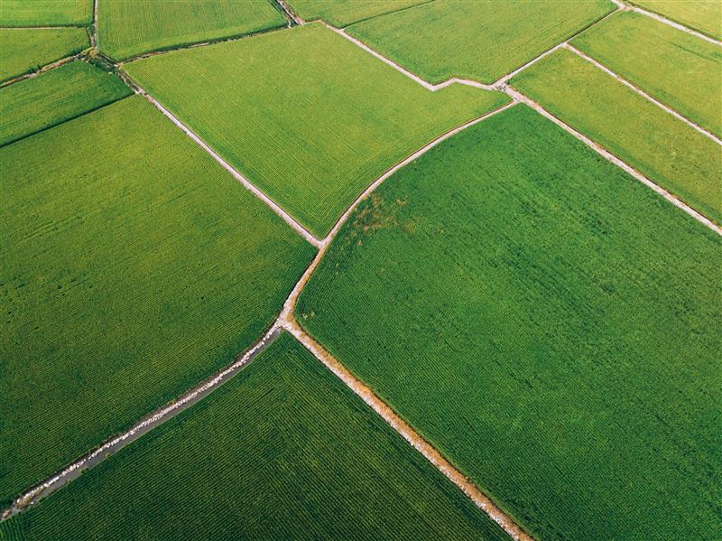 SustainCERT_Header Image