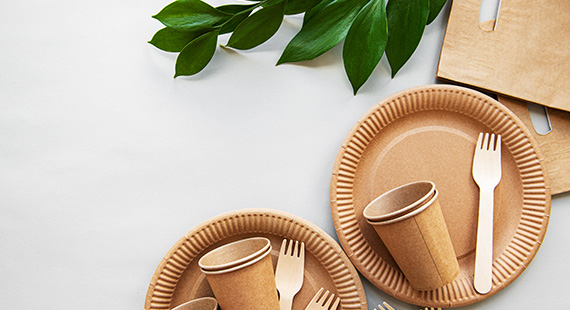 Biodegradable Packaging Certification  Biodegradable Packaging Certification