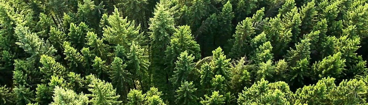 Sustainability Sustainability