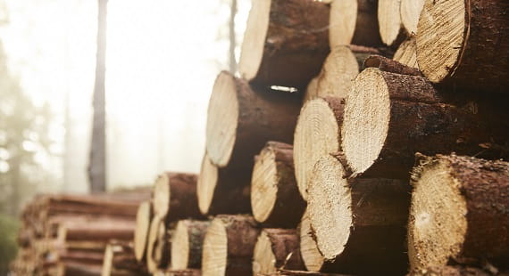 FSC Certification FSC Certification