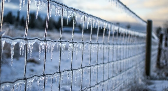 Winter Weather Precautions Infographic Winter Weather Precautions Infographic