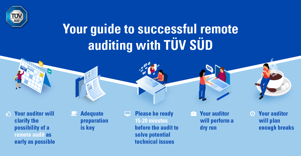 Remote medical device auditing guide