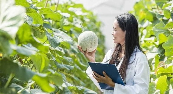 Safety Gauge 2017: Food Segment report