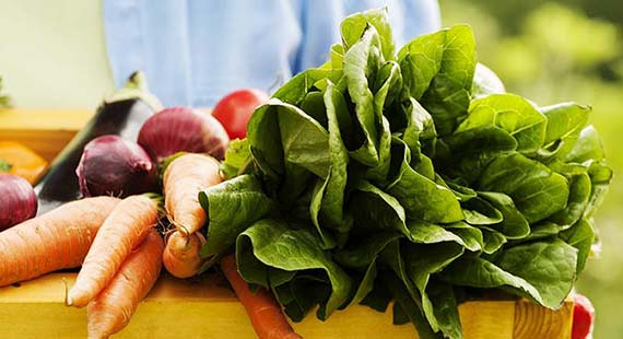 Global Food Trends Global Food Trends