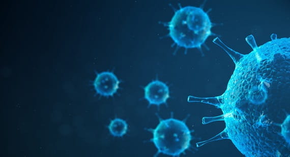 MS Audit rules COVID MS Audit rules COVID