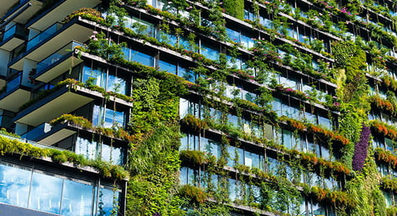 green operations and infrastructure