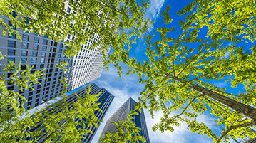 Green Building Training and Facilitation  Green Building Training and Facilitation