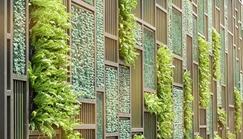 Sustainability rating systems