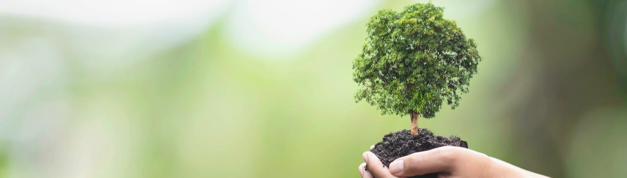 可持續性和企業社會責任（CSR）